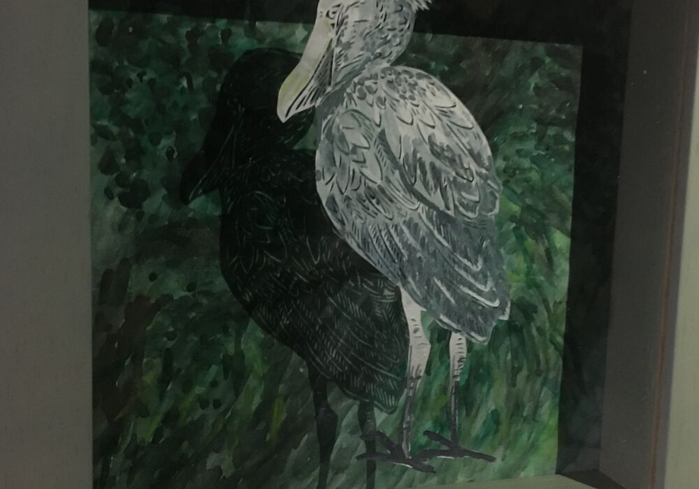 ハシビロコウ　ななめ